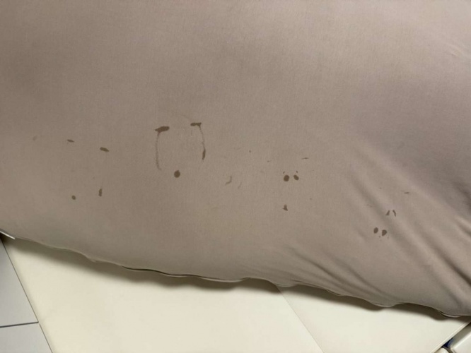 おみき（＠omiki_31）さんの投稿より、再掲