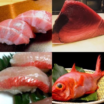 （株）ＳＡＫＥＳＱＵＡＲＥのプレスリリース画像