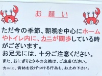 さるかに合戦は禁止（びねこ＠bnekopさん提供）