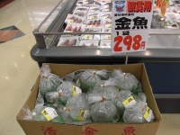 スーパーで売られていた観賞用の弥富産金魚（Norio Nomuraさん撮影、Wikimedia Commonsより）