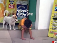 膝を抱えて悲しみに暮れている少年を必死に慰めようとする犬