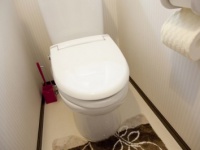 【トイレ問題】「彼の家で自分が大をする」or「自分の家で彼が大をする」、嫌なのは？