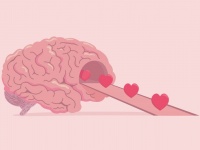 愛情ホルモン「オキシトシン」がなくても絆を深めることができることがマウス実験で判明