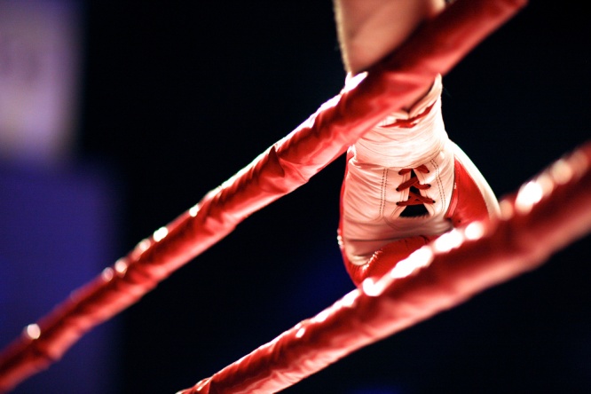 （C）Shutterstock