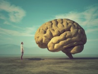 賢すぎる人あるある。知能が高すぎることで生じる6つの意外なデメリット