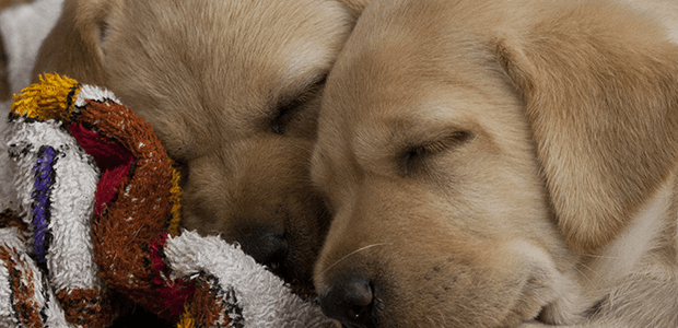 「Doctors Me（ドクターズミー）」コラム画像