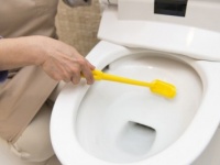 えぇっ、1度もナシ!?　アラサー女子の自宅トイレ掃除頻度ランキングBEST5