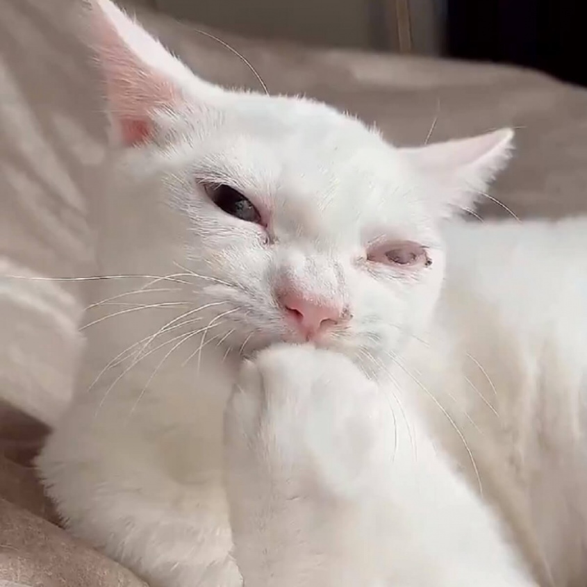 Twitter：ダレノガレ明美（@The_Darenogare）より