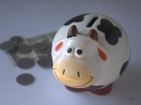 遺伝で決まる?! なぜかお金が貯まる人の特徴