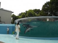 新屋島水族館（Paige Chaiさん撮影,Flickrより）