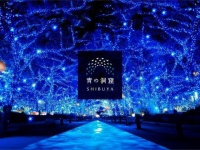 ことし注目度No.1