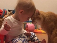 1歳半の息子と14歳の老猫が気持ちを共有させていたワンシーンに心がぽかぽか（海外の反応）