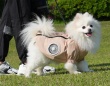 ワンちゃんも暑い！は夏の合言葉。愛犬を守る最新の暑さ対策グッズ3選