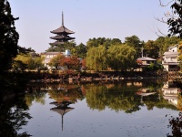 2009年の荒池。こんなに美しかったのだが...（m-louisさん撮影、Flickrより）