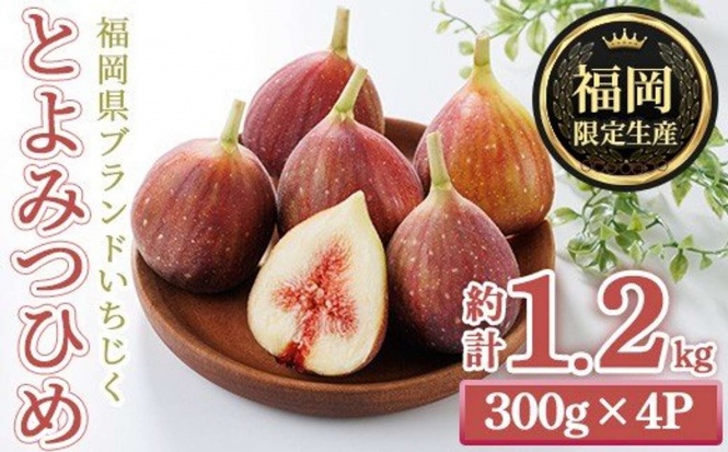 福岡県 春日市「福岡県ブランドいちじく博多 とよみつひめ (計約1.2kg・300g×4P)」7500円（ふるさとチョイスより）