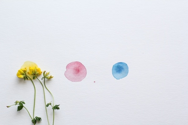 知ってる？　「淡々」と「坦々」の違い