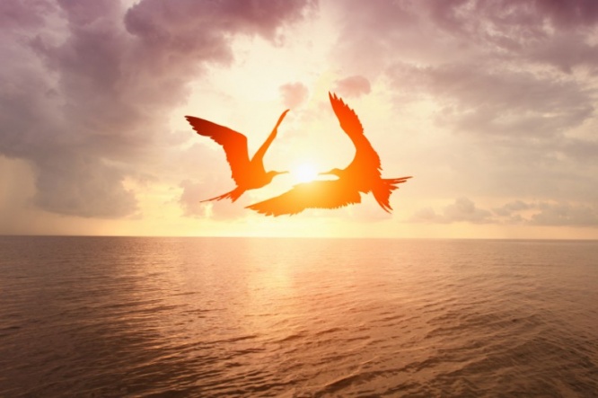 iStock_000059306202_Small