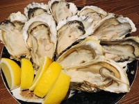 生カキなど食べた『33人発症』　【ノロウイルス】集団食中毒　店は「1個100円」の激安を売りにしていたが…