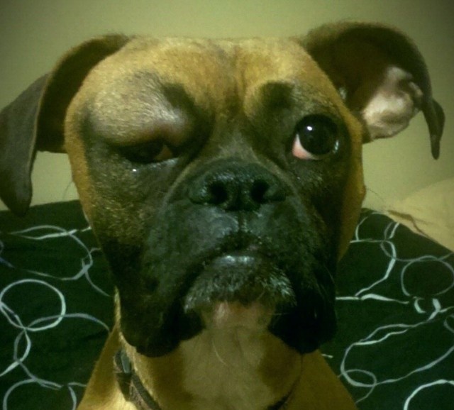 スクリーンショット 2016-04-24 20.00.23