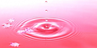 「Doctors Me（ドクターズミー）」コラム画像