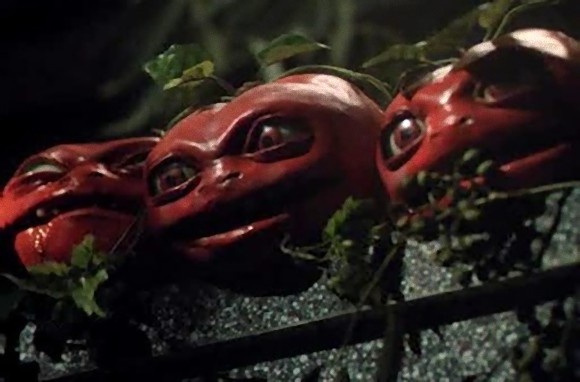 トマトは危機が迫ると事前にそれを察知し、毒性物質を作り出し防衛に備える（米研究）