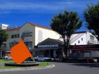 ふじみ野駅（京浜にけさん撮影。Wikimedia Commons