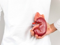 痛んだ臓器は移植に使えない？（depositphotos.com）