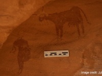 サハラ砂漠は緑豊かな場所だった。4000年前の岩絵に牛の姿