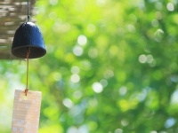 夏の風物詩をきっかけとして...（画像はイメージ）