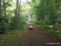 ちょっとかわいい。森の中で迷子になっちゃった配達ロボット