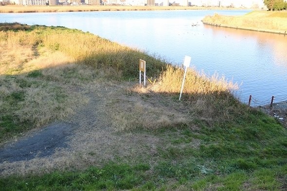 雑草の生い茂る遺体の発見現場