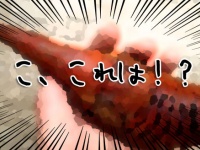 こ、これは！！ピクピク動く手のひらサイズの茶色い物体の正体は？（ヒント：巨大昆虫）