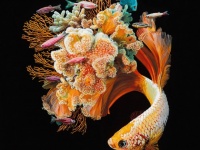 魚とサンゴを合体させたら未知なる美しさが芽生えたようだ。ハイパーリアルなキメラアート