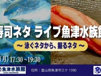 画像はプレスリリースより、再掲