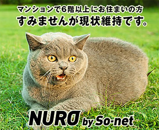 nuro-neko4