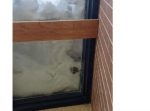 大量の落ちてきた雪に埋まってしまったウサギ、無事救出される！