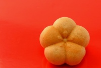 アイス最中の皮をぱりっとさせる方法とは？