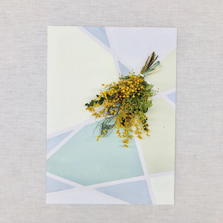 カイト株式会社のプレスリリース画像