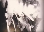 先日新たに公開された、宇宙人らしき生き物を運ぶ映像に衝撃！