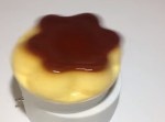 プリンをプルプルさせるマシンがどうかしてる出来栄えｗ