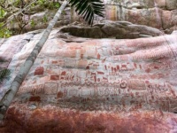 氷河期の絶滅した巨大動物たちが描かれた壮大なる壁画がアマゾンで発見される（コロンビア）