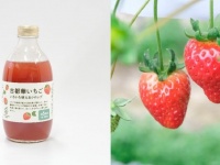 関西の無印良品32店舗で発売決定！　奈良県ブランドいちご「古都華」味わうシロップがめっちゃ気になる
