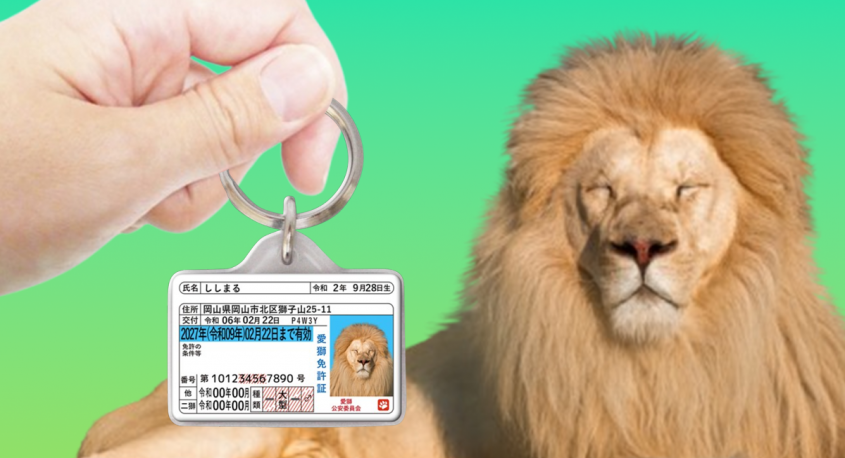 Daydream Labのプレスリリース画像