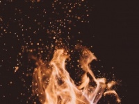 【九紫火星】2021年前半の運勢