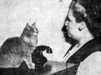 猫の催眠術師。第二次世界大戦末期のアメリカで人間に催眠術をかける猫が存在した。