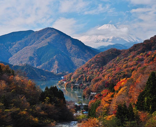 紅葉狩りシーズン到来！　愛車で行けるオススメ紅葉スポット14選