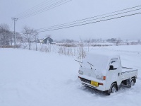 雪の北海道。写真はイメージです（Jereme Wongさん撮影,Flickrより）