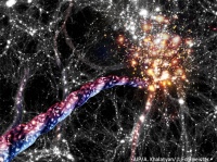 枝を伸ばした世界樹のようだ。知られている範囲では宇宙最大となる超巨大回転構造が発見される