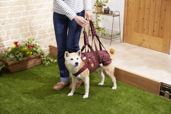 新日本カレンダー株式会社のプレスリリース画像