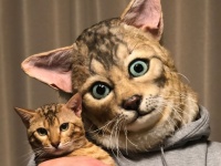 ペットと同じ顔になれる！？リアルなフェイスマスクがオーダーメイドできるぞ！